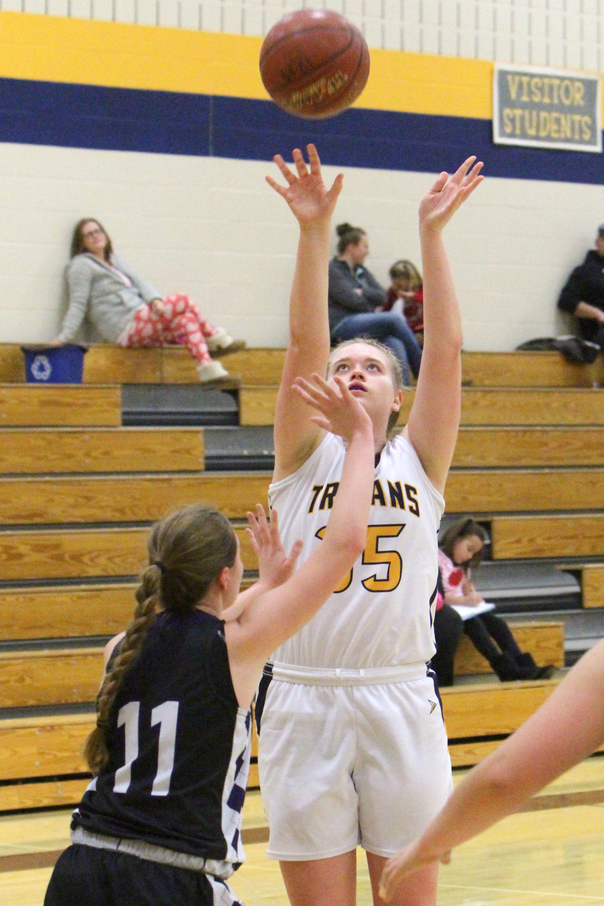 Lake Holcombe at New Auburn girls basketball 2-14-19